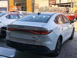 بي واي دي سيل 06 DM-i